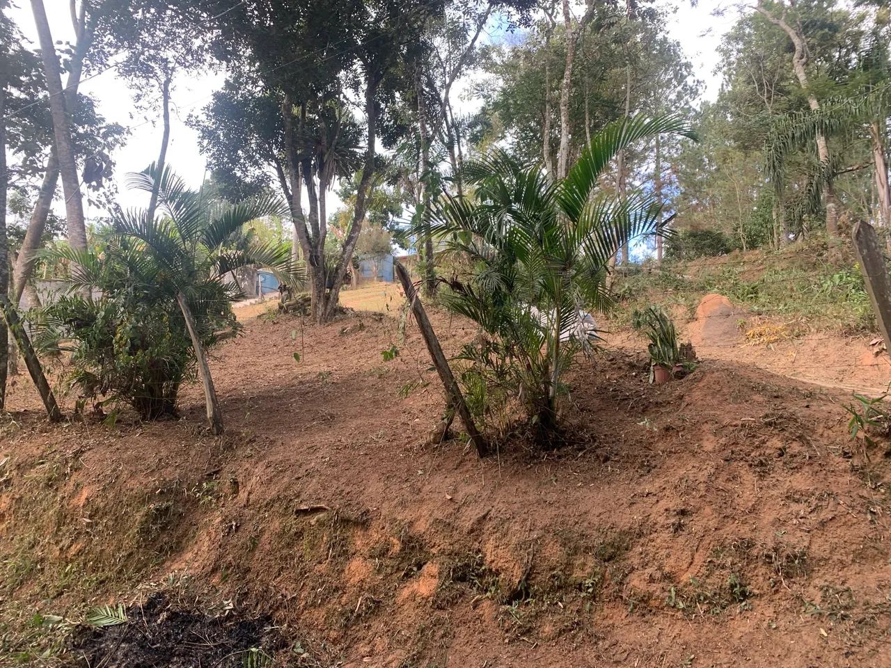 Foto - São Paulo - Cidade Antônio Estevão de Carvalho