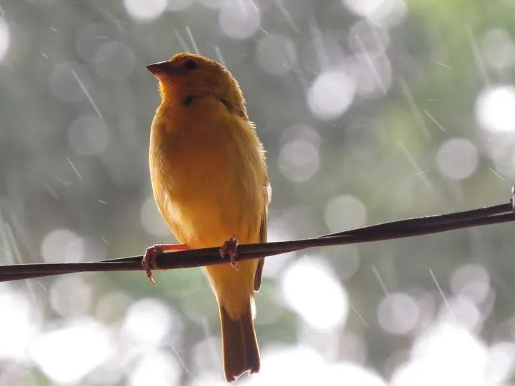 Casa temporada recanto da felicidade chácara  - Foto 8