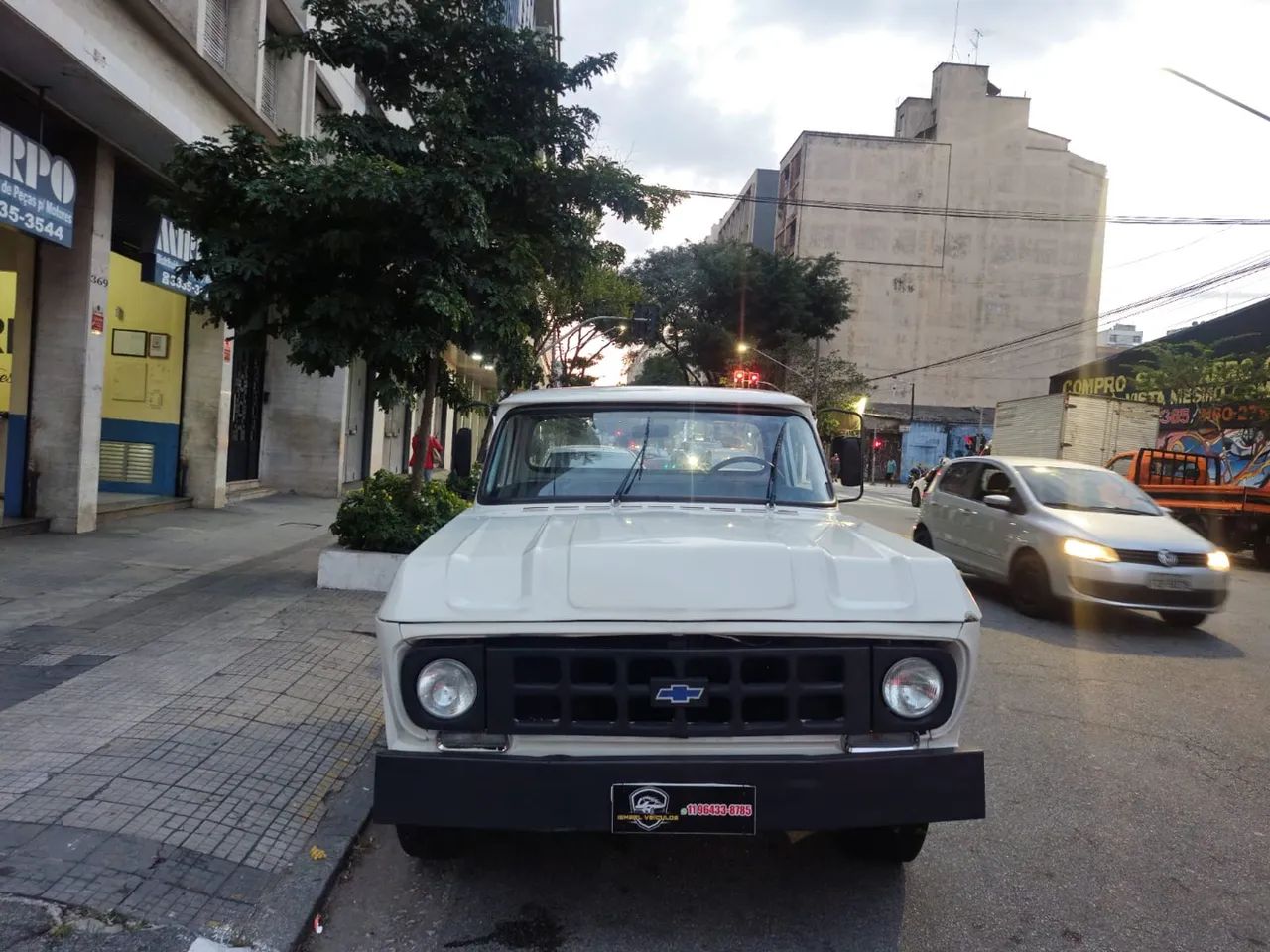 Chevrolet C10 ano 1976 gasolina