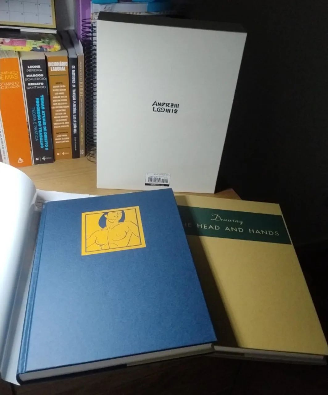 Box Drawing The Head and Hands + Figure Drawing for All It`s Worth. Andrew Loomis. NOVO!!! - Foto 5