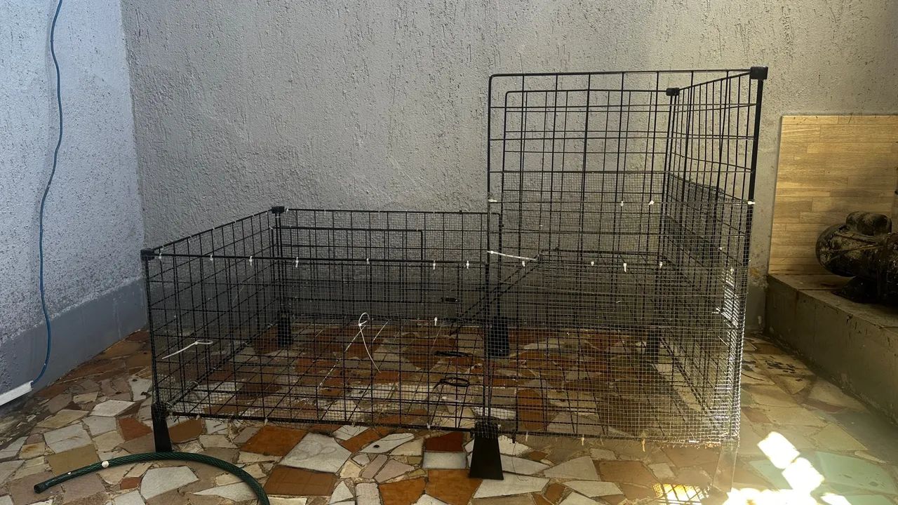 Gaiola Aramada para porquinho da índia 