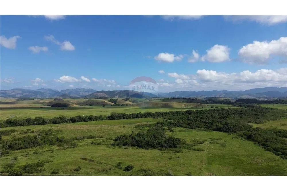 Fazenda à Venda em Anchieta: Área de 29 Alqueires - Foto 5