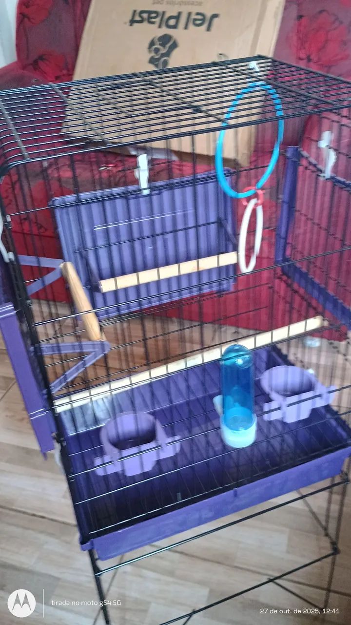 Viveiros para calopsitas, periquitos e agapornis mansos  - Foto 3