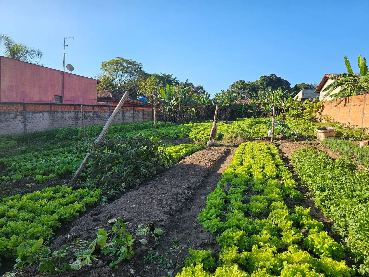 Terreno a venda em monte mor  - Foto 3