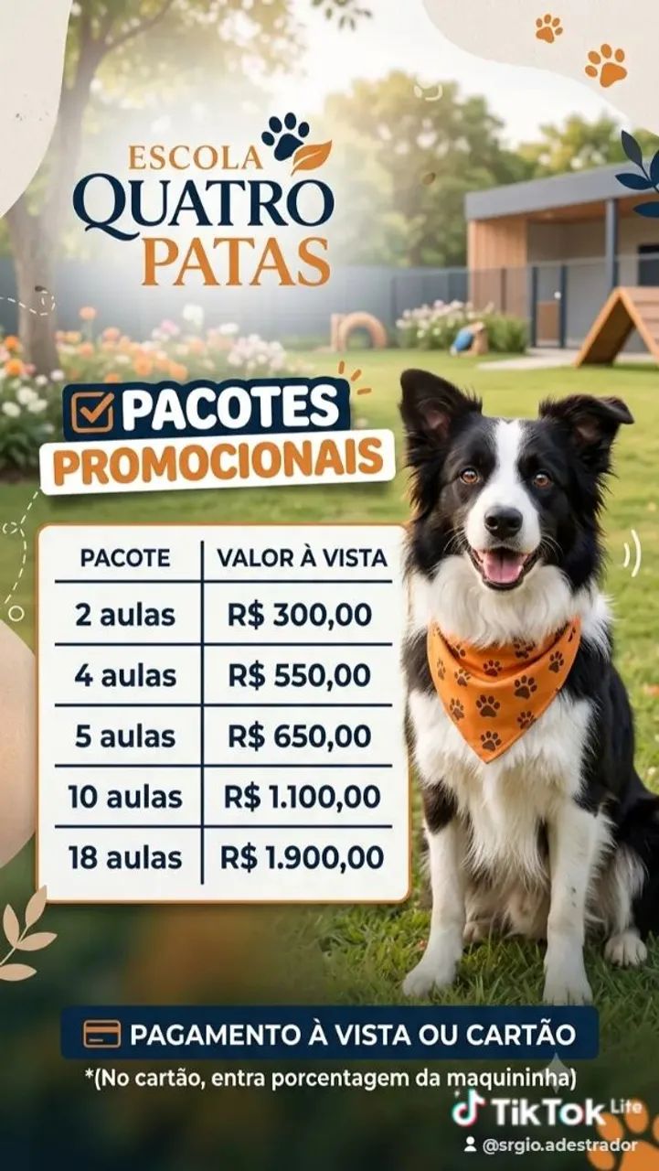 Adestramento de cães  - Foto 2
