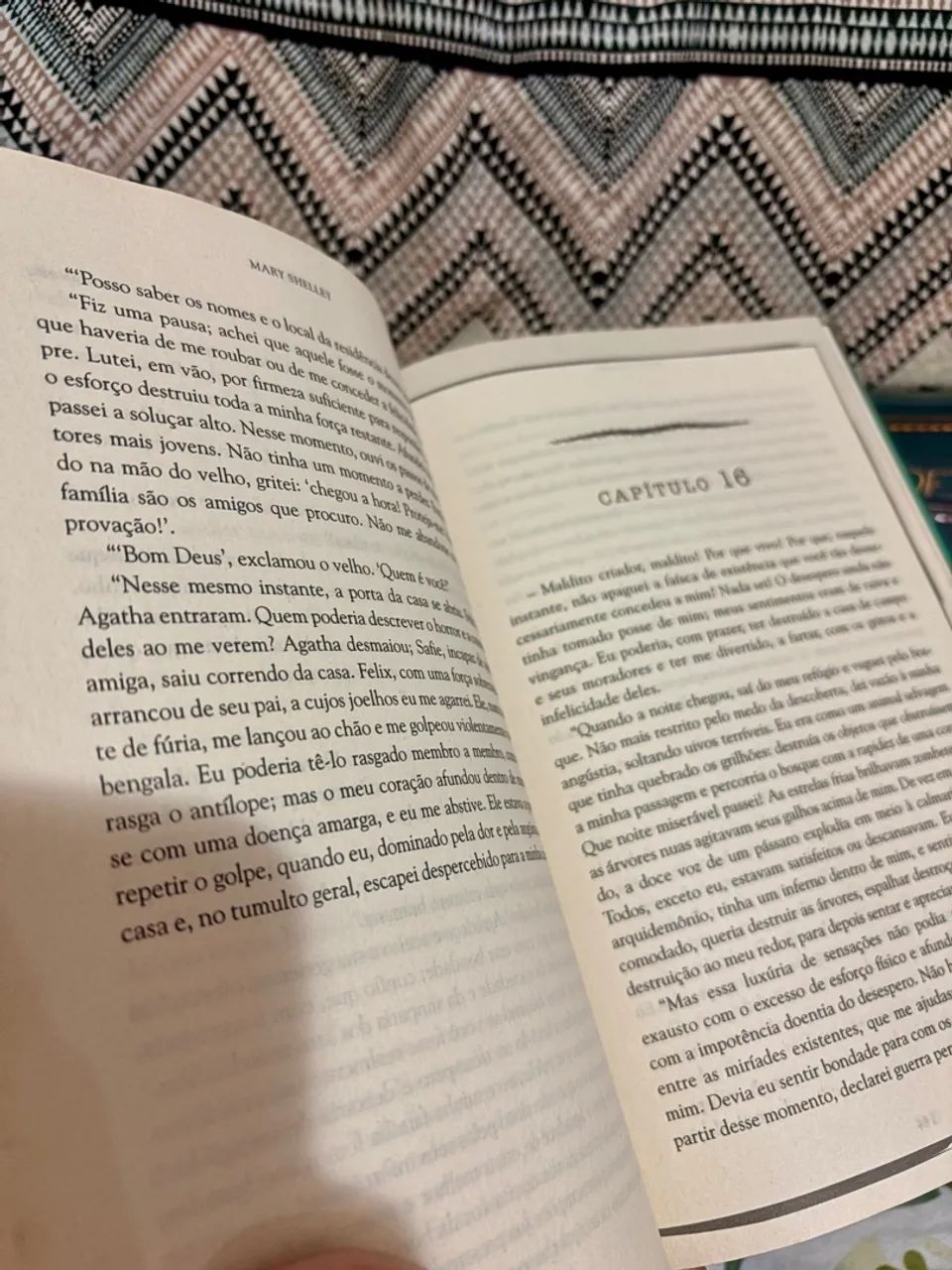 Livros - Peter Pan e Frankenstein - Foto 4