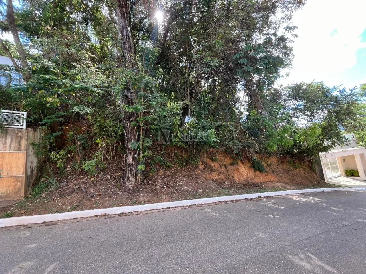 Terreno à Venda no Vale das Araras - Nova Lima - Foto 5
