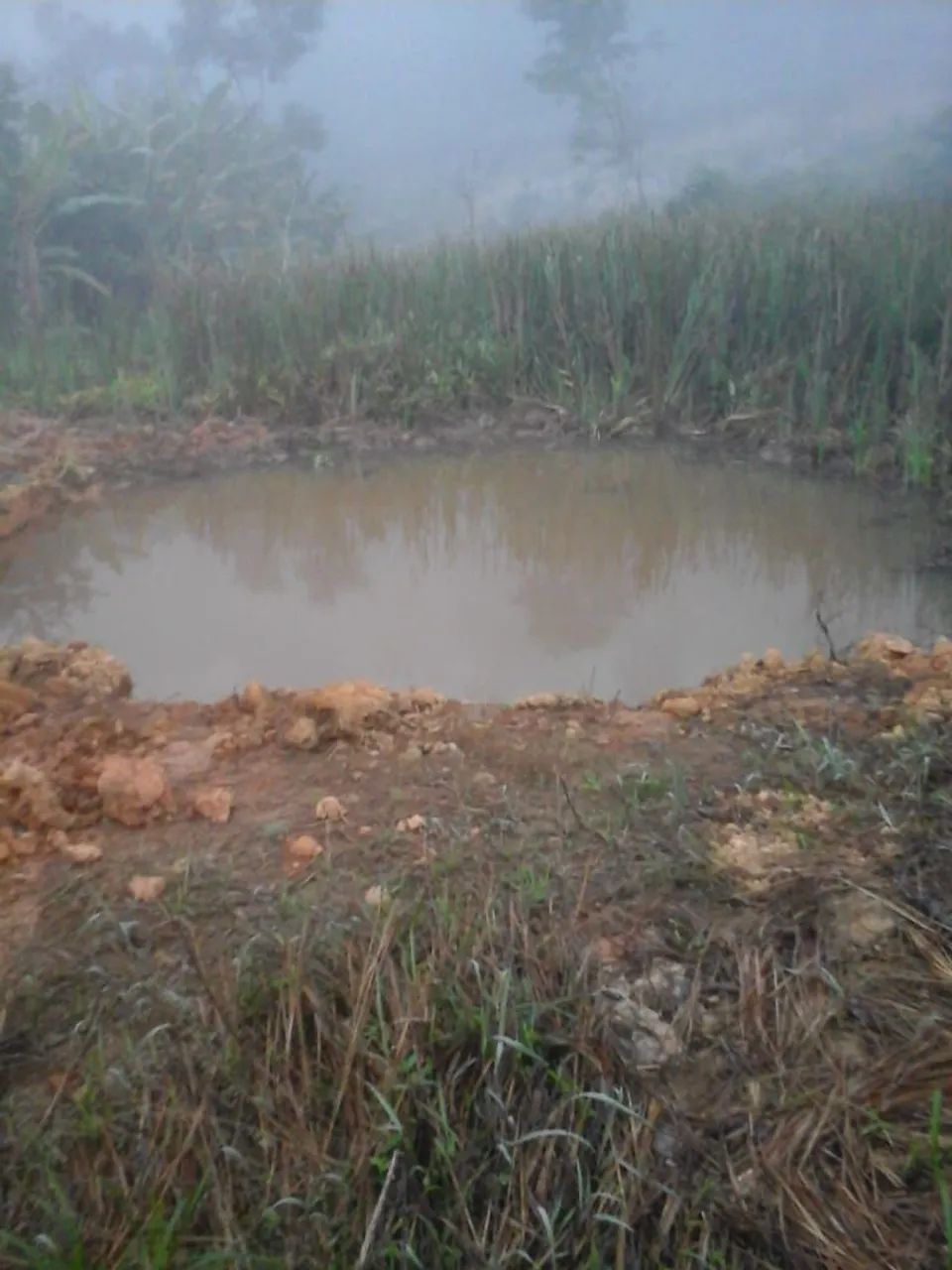 Venda de chácara  - Foto 4