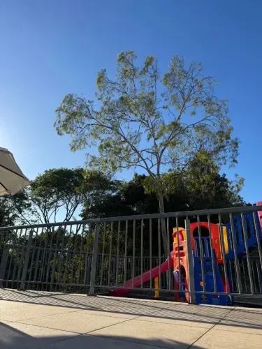 Lindo apartamento em Condomínio completo! - Foto 3