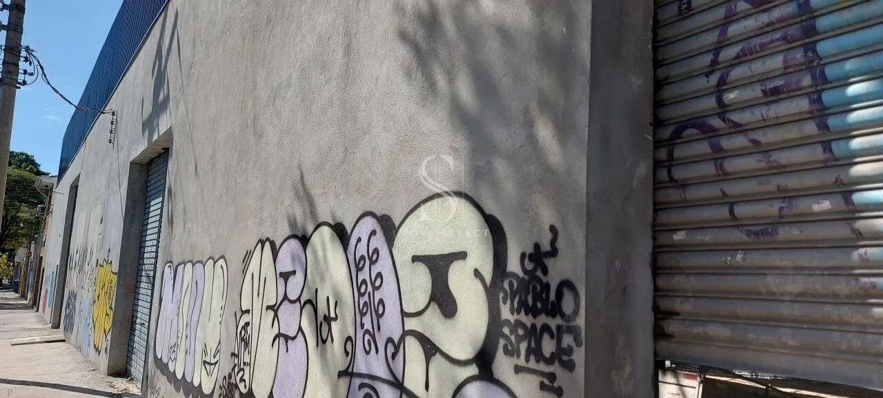 Galpão em Cambuci - São Paulo - Foto 4