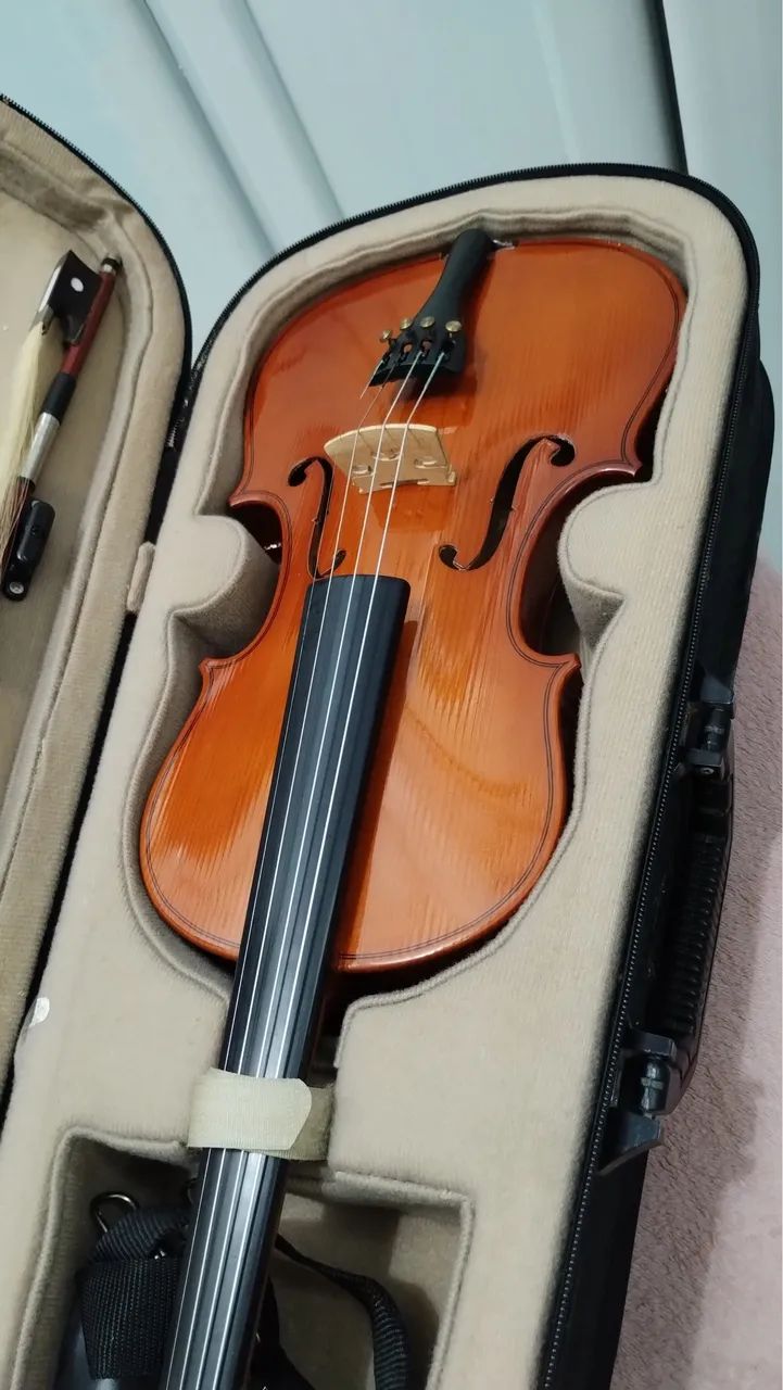 Violino 4x4 - Foto 4