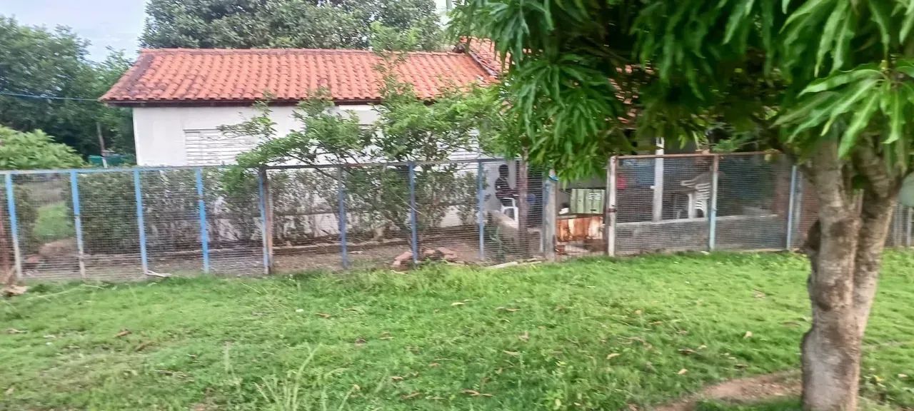 Vendo Sítio com 46 hectares no Sadia 3 - Foto 4