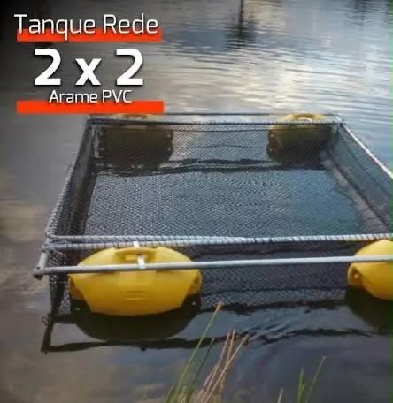 Tanque-rede  - Foto 2