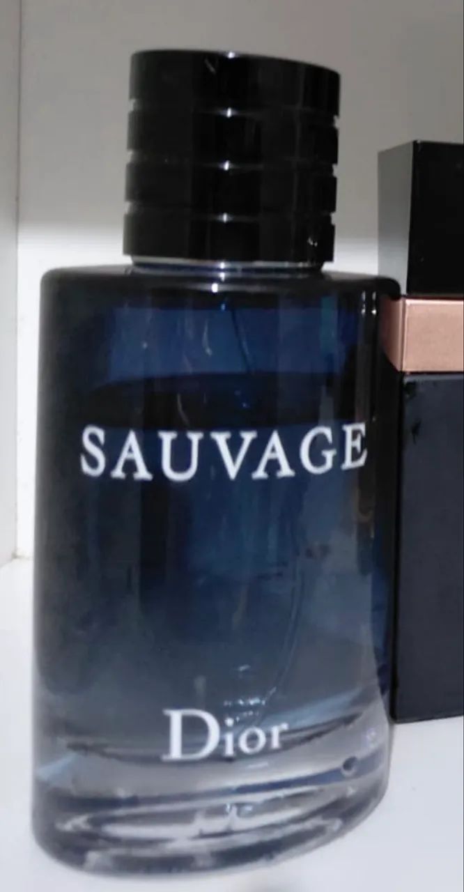 Sauvage - Beleza e Cuidados Pessoais - Conjunto Habitacional