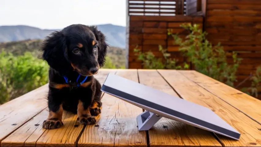 Antena Starlink Mini V4, Internet Via Satélite de Alta Velocidade, Portátil, WI-FI 5 - Foto 4