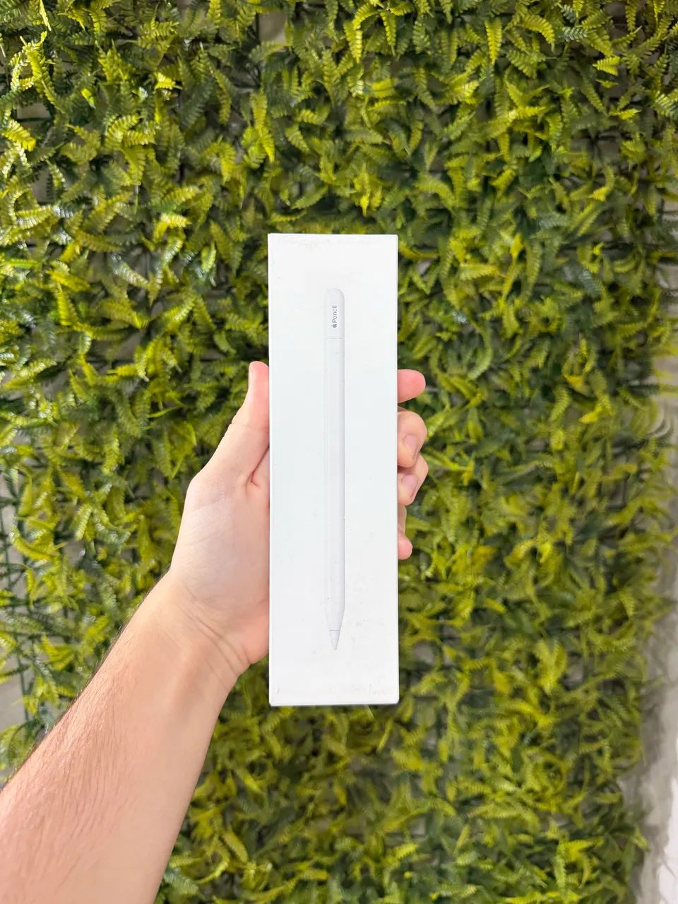 Apple Pencil USB-C, Lacrado - Foto 2