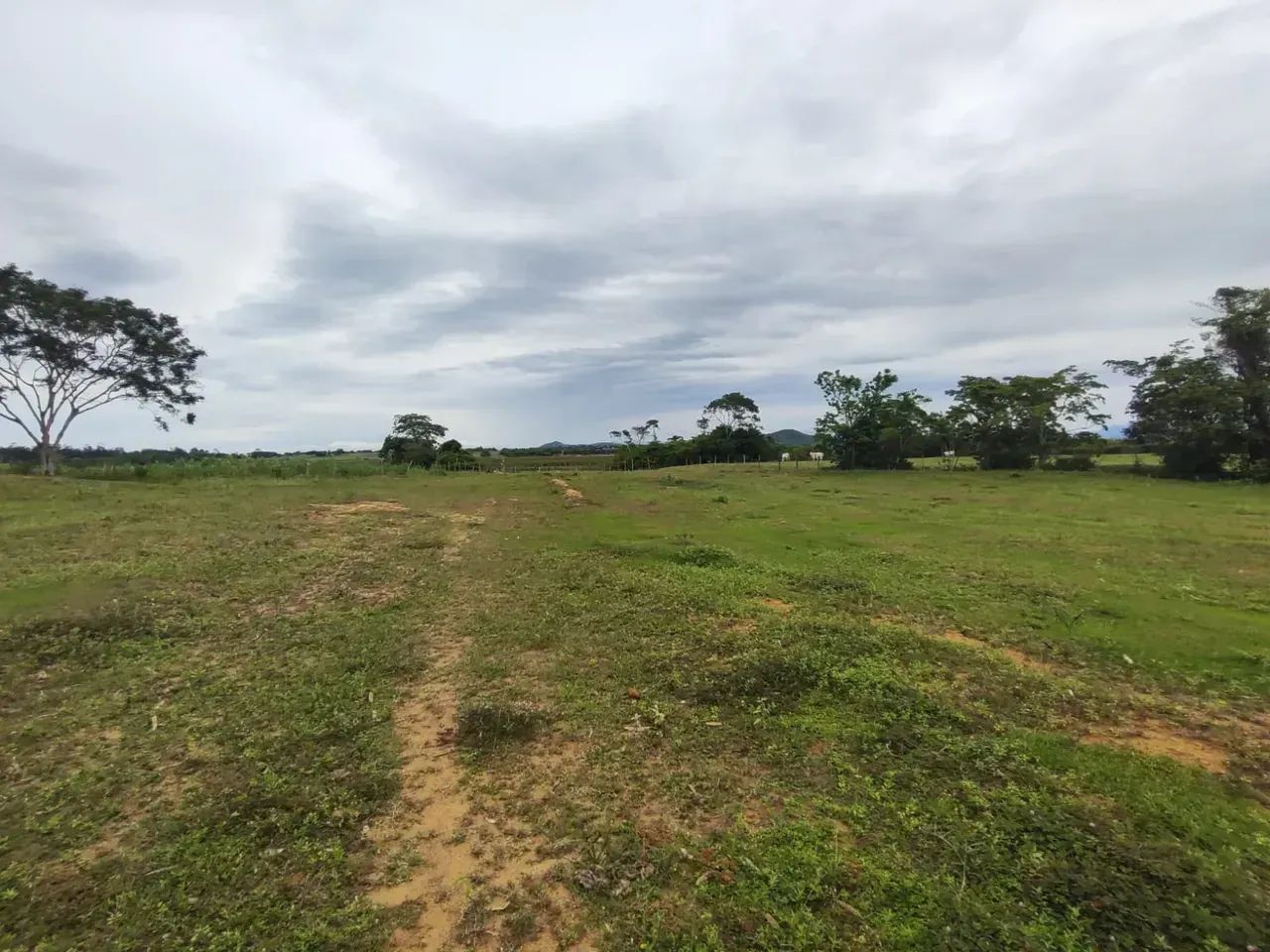 Sítio com 50 mil M2 em Quissamã próximo ao bloco forte - Foto 2