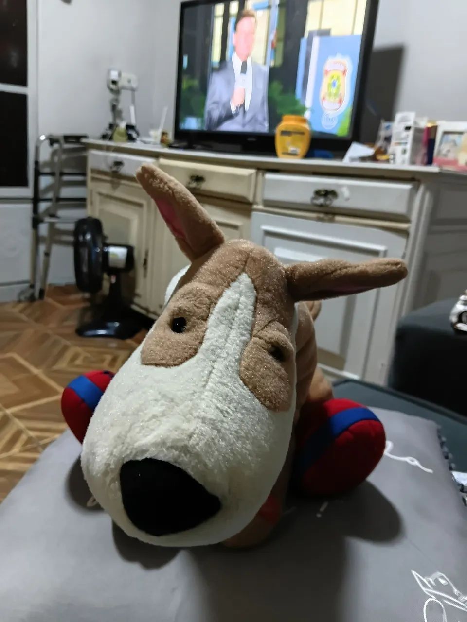 Cachorro  divertido - Foto 2