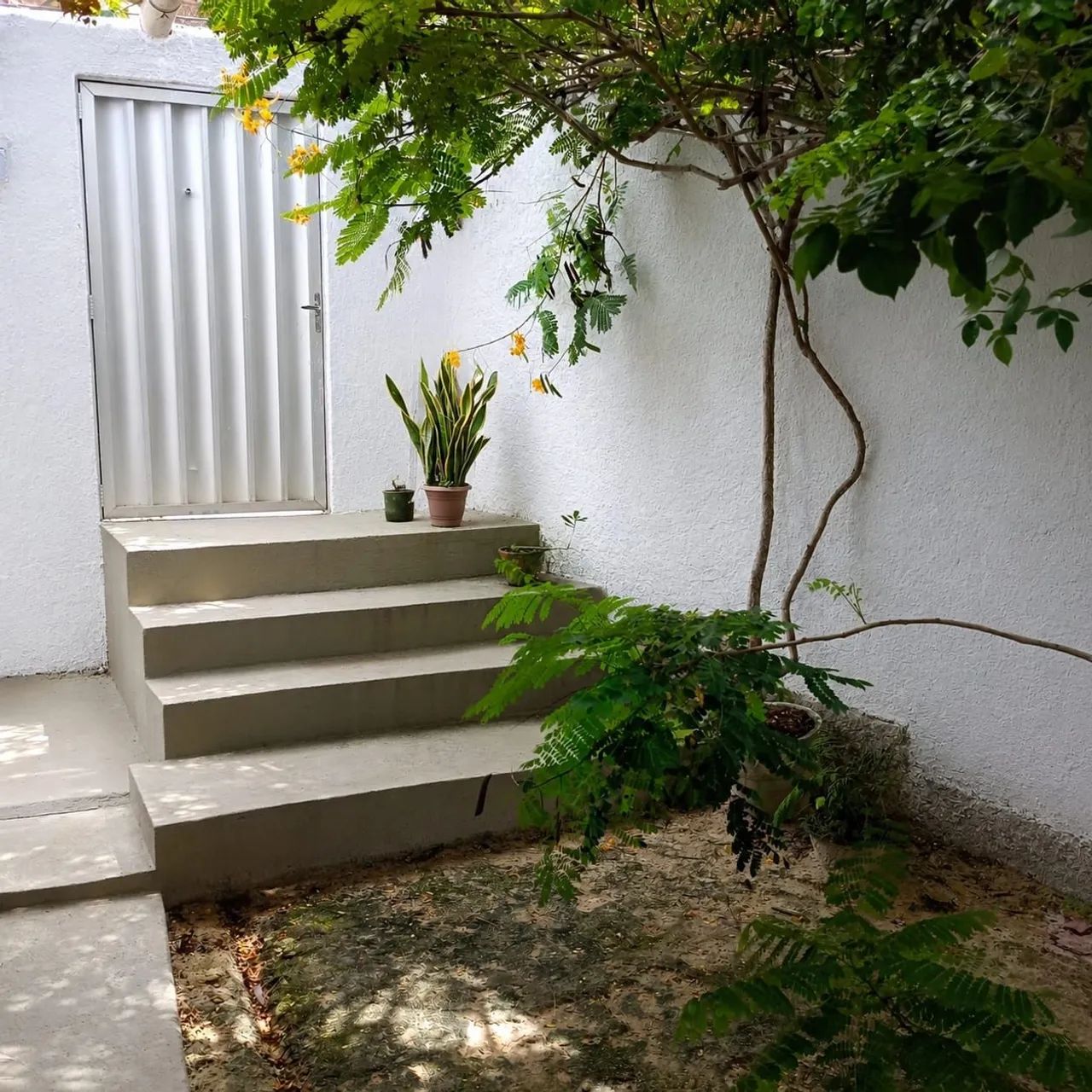 Vendo casa com quintal no Ibura - Foto 5