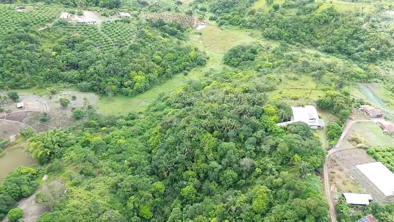 7.75 Hectares | Sítio | 06 quartos | R$ 680 mil | Chã Grande - Foto 2