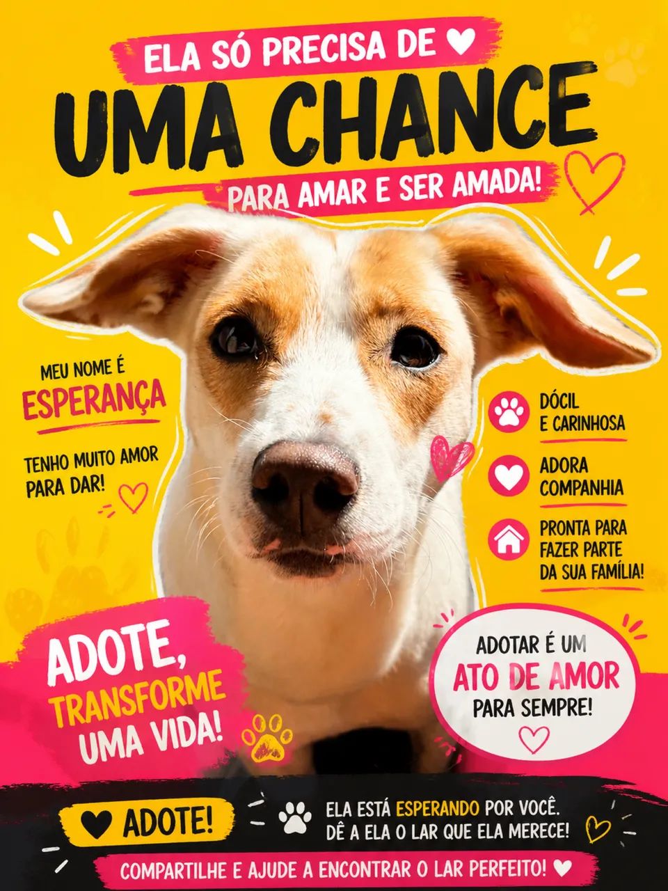 Doação 