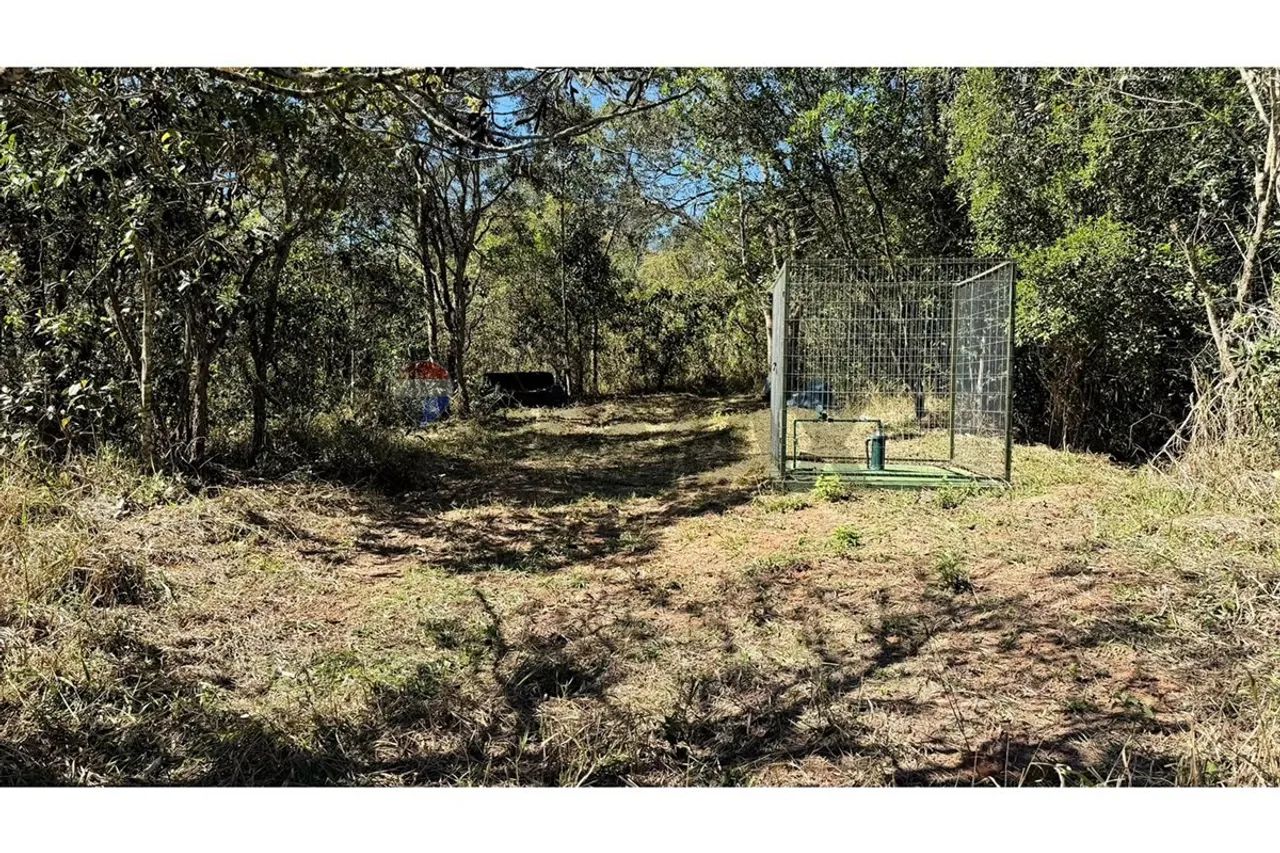 Terreno de 20.016m² no Faxinal - Foto 4