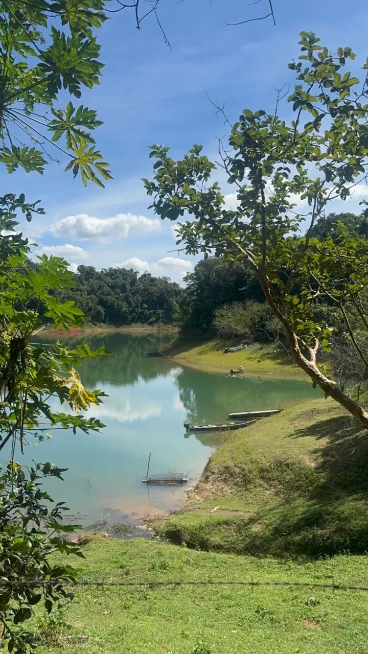 Rural Chácara em Santa Branca - Foto 5