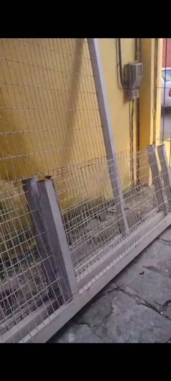 Portão 