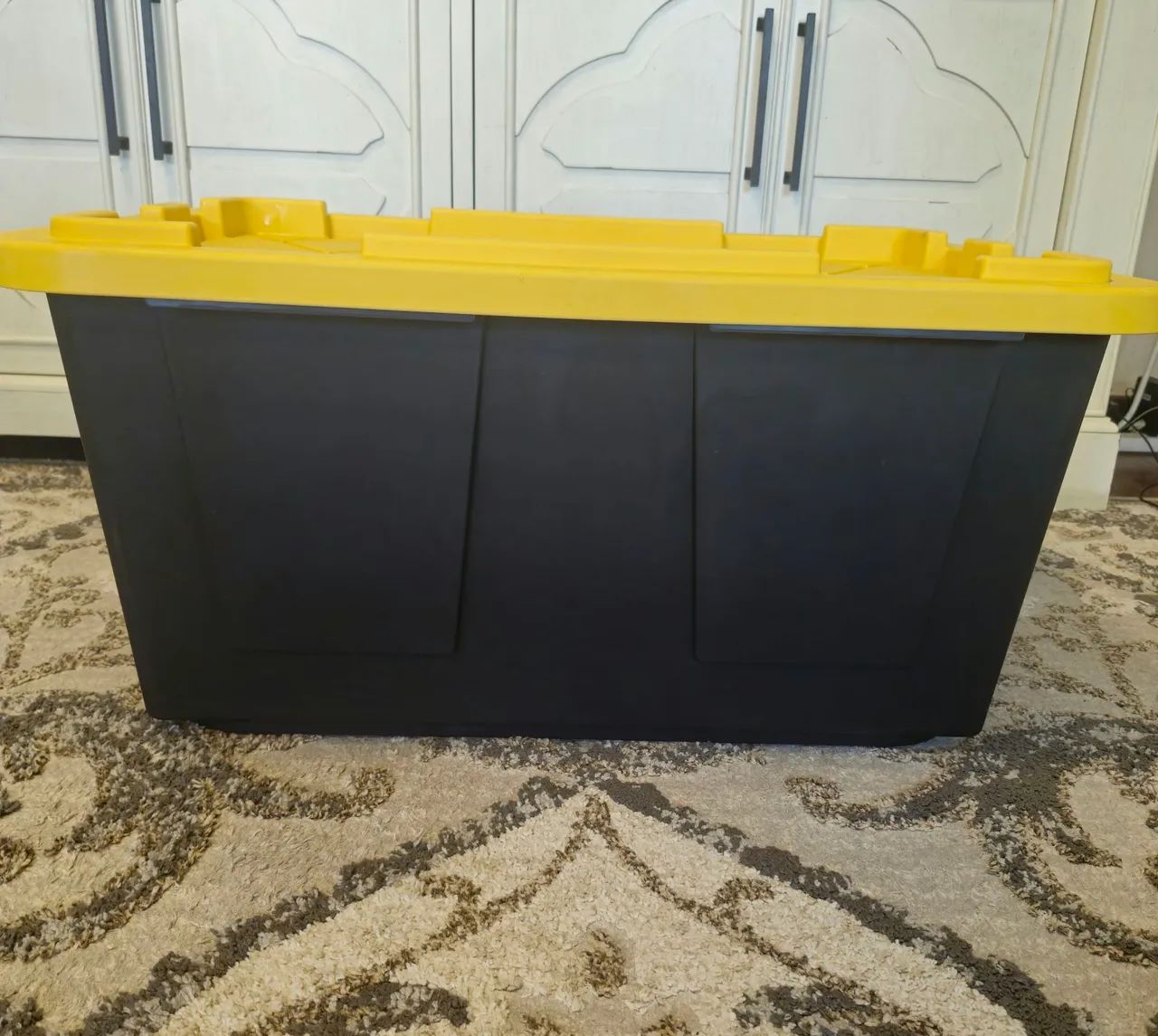 Caixa Container Grande. Super resistente. Comprada no Costco EUA - Foto 2