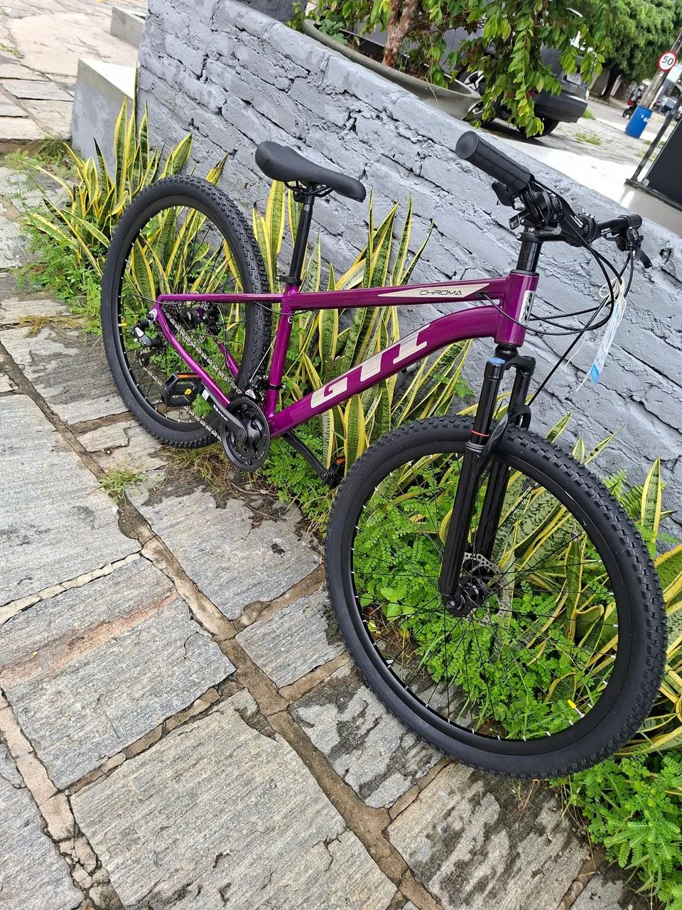 Bicicleta aro 29