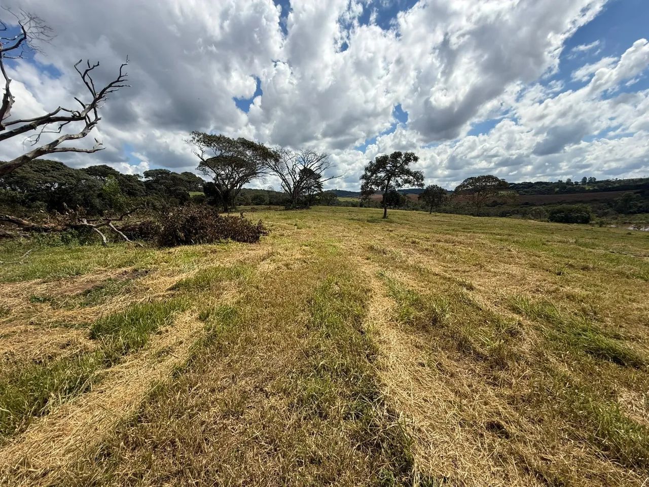 Terreno rural em itaguara  - Foto 4