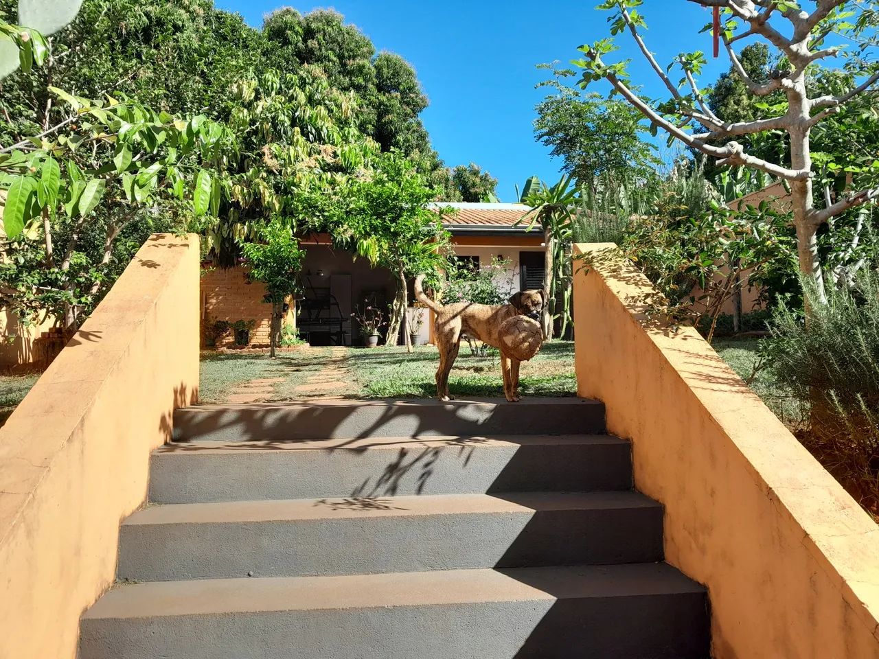 Casa em Reginopolis - Foto 3
