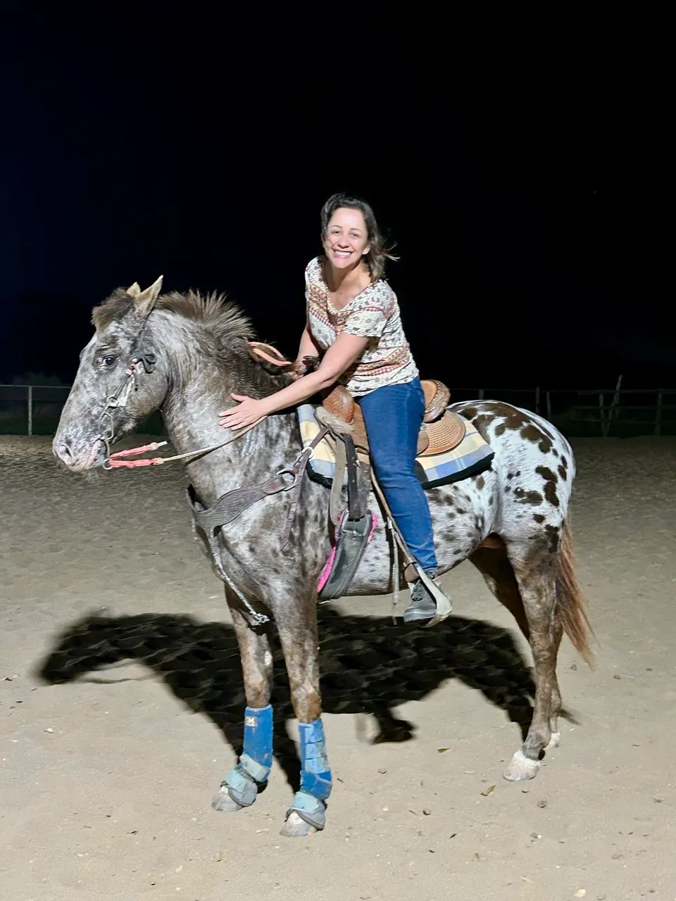 Cavalo appaloosa  - Foto 2