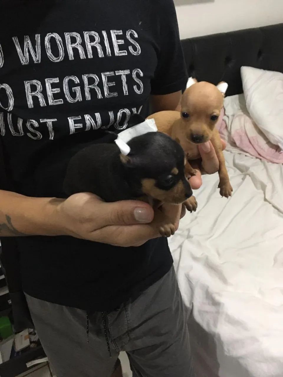 PINSCHER ZERO ZERO - Foto 2