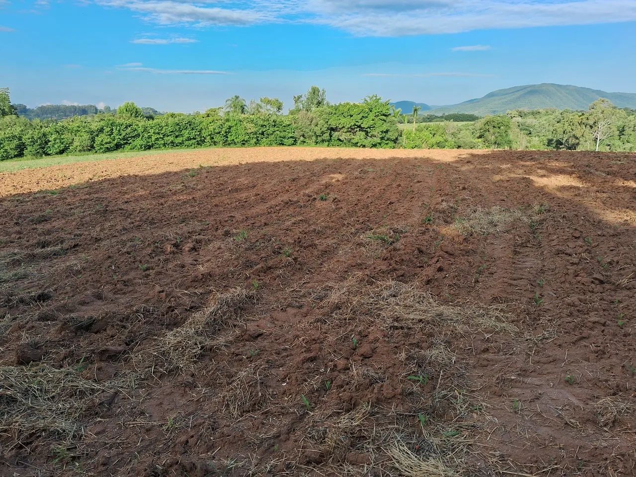 Trator agricola serviços  - Foto 3