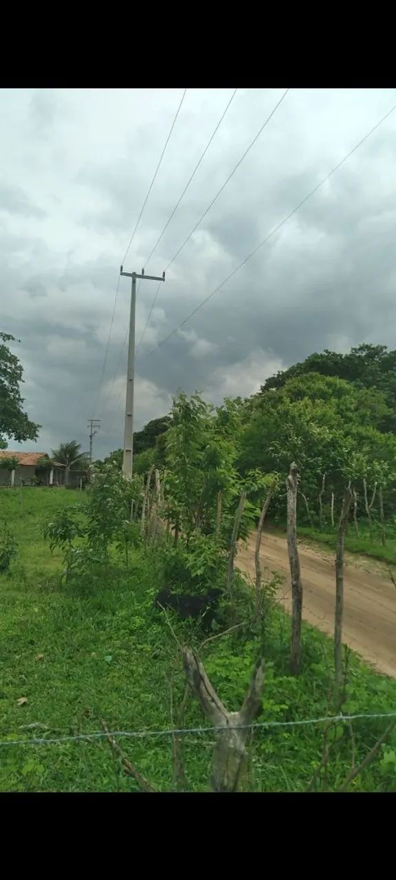 Terreno em Paraipaba Ceará  - Foto 4
