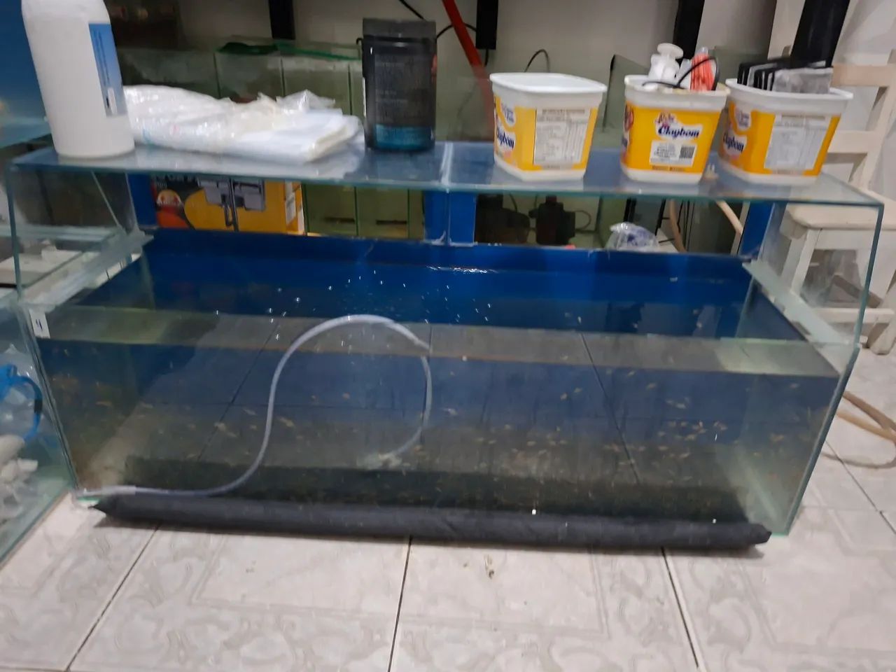 Aquário 