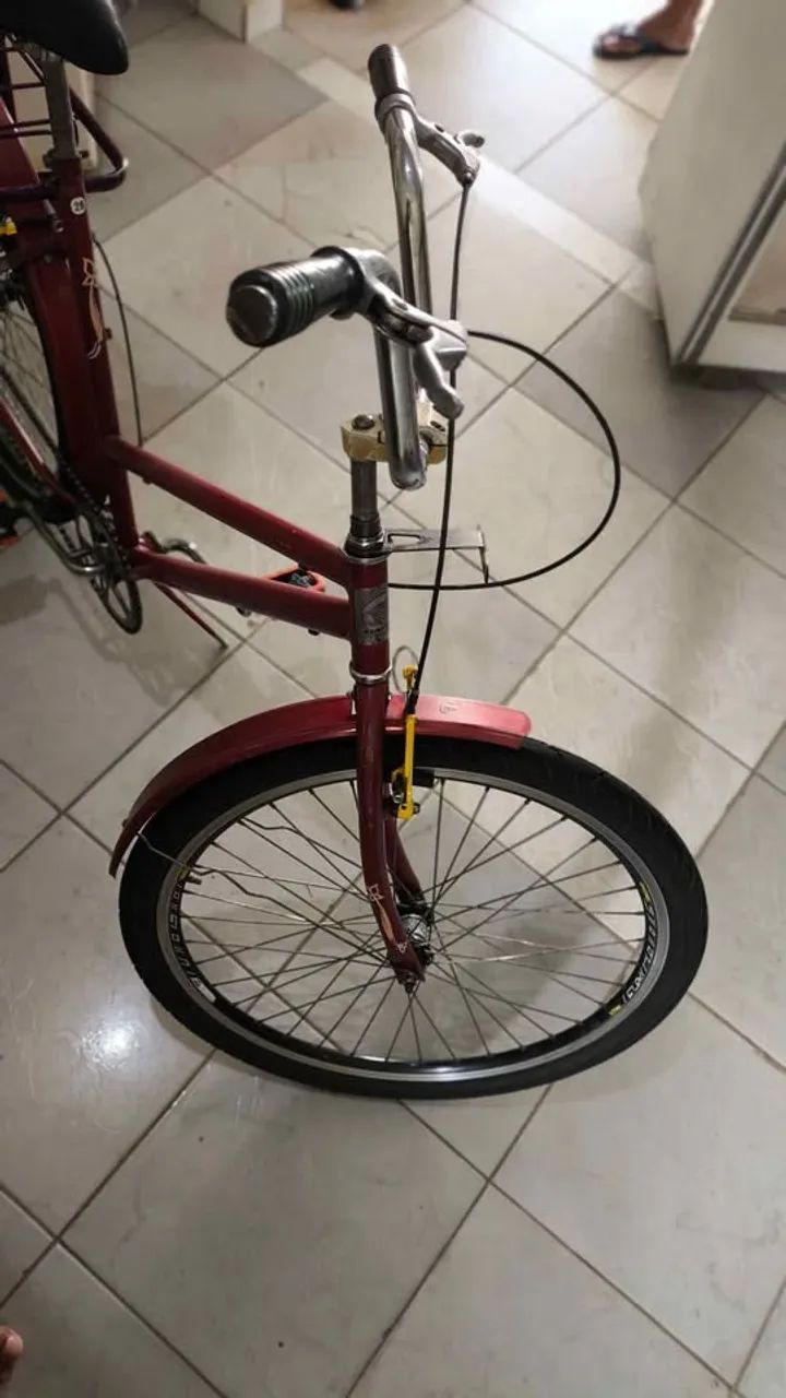 Bicicleta Estilo Poti - Foto 2