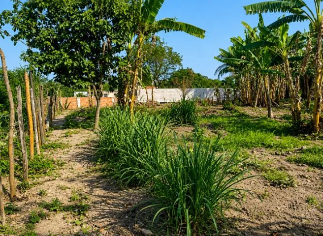 Vendo terreno amplo com metragem de 15x30 - Foto 2