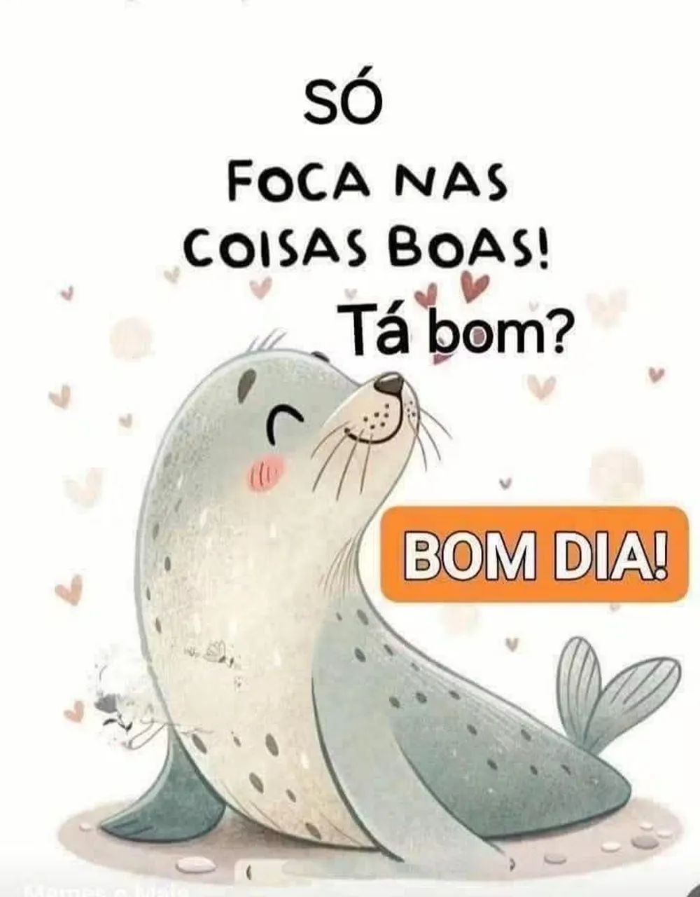Chácara 