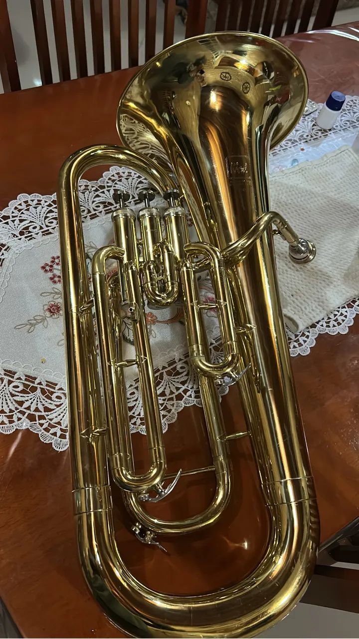 Eufônio Weril - Foto 5