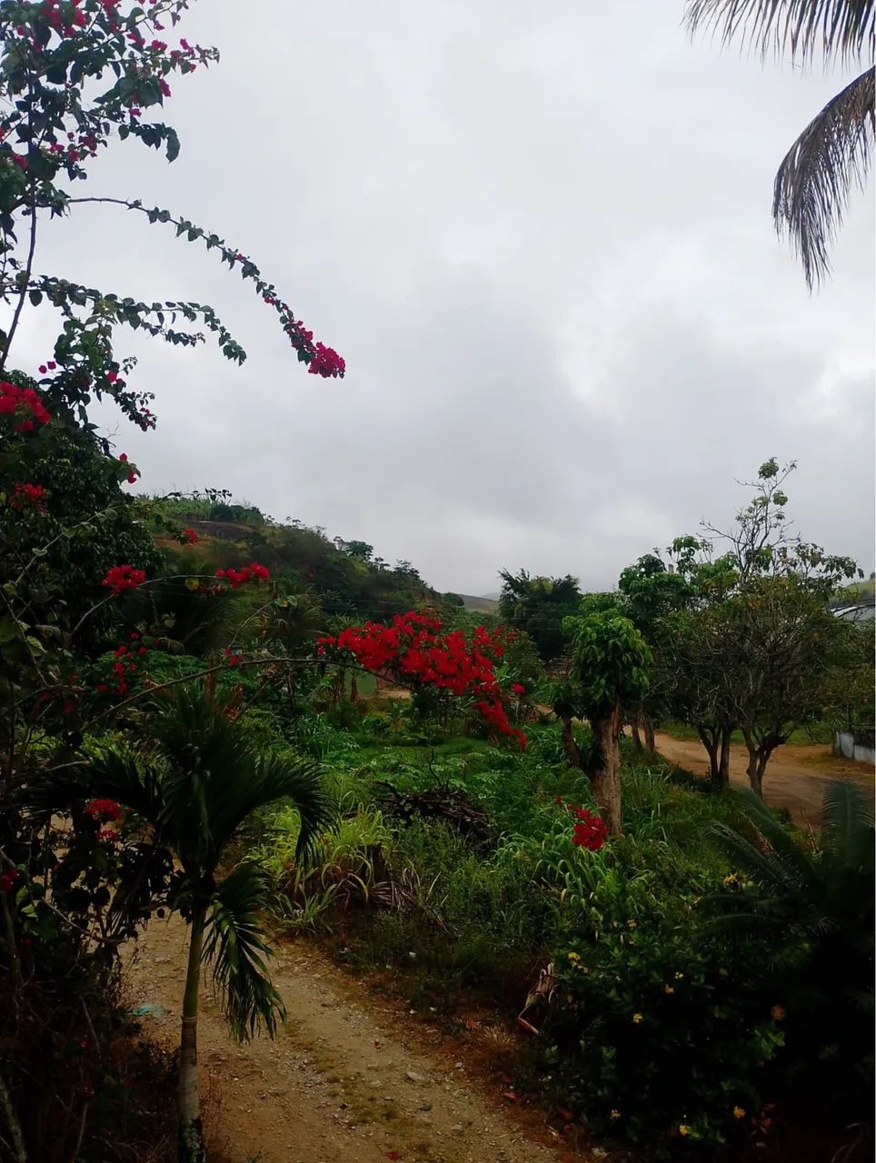 Sítio em pombos  - Foto 5