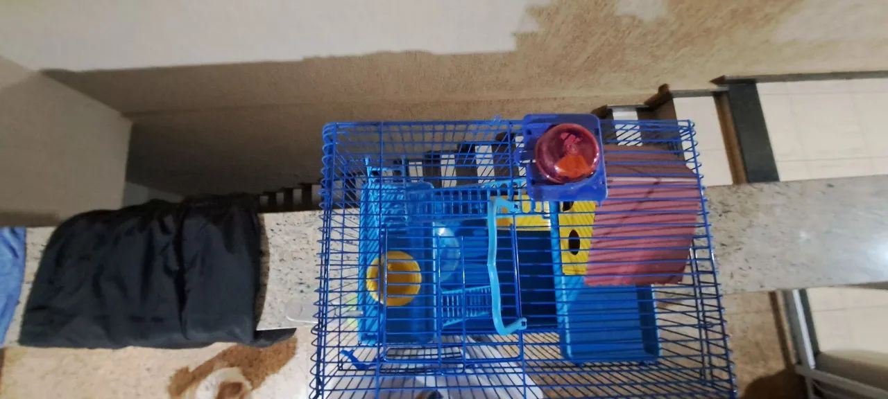 Aceito propostas!!! Gaiola pra hamster 3 andares  - Foto 3