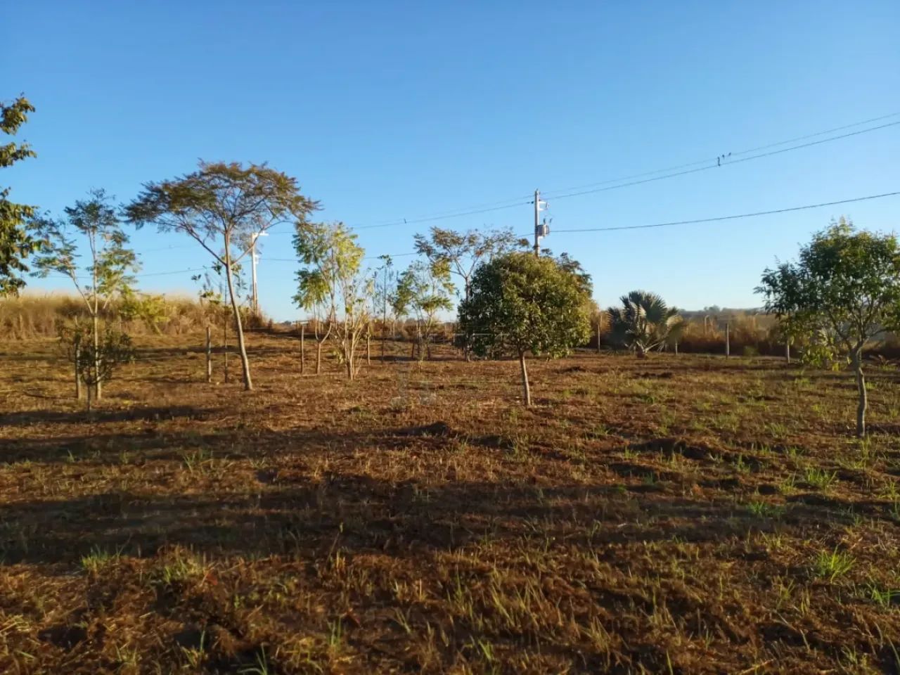 Terreno Área em Delfinópolis - Foto 3