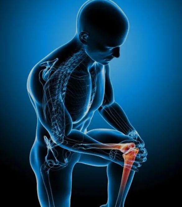 FISIOTERAPIA DOMICILIAR - Foto 5