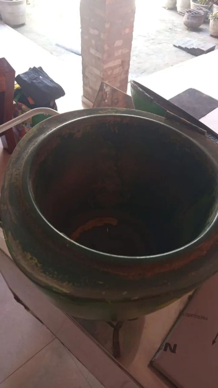 Carinho de água de côco  - Foto 5