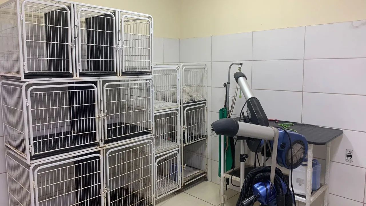 Equipamentos de banho e tosa  - Foto 4