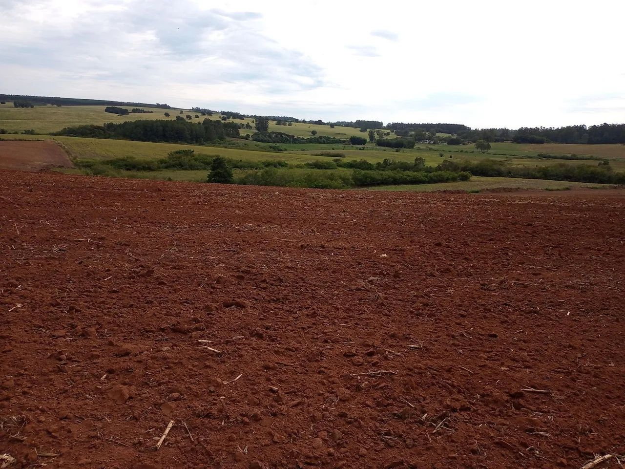 Campo com 14 hectares  - Foto 12