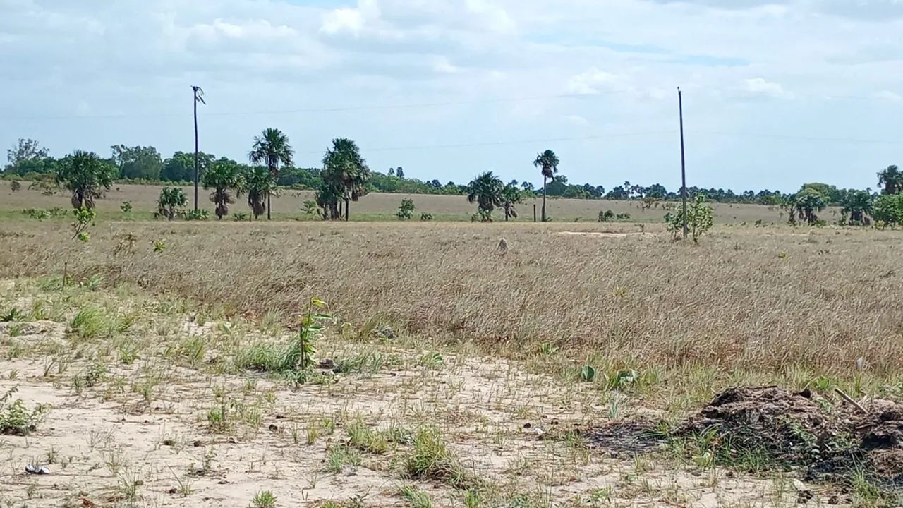 Vende-se área pra chácara no Bom Intento - Foto 2