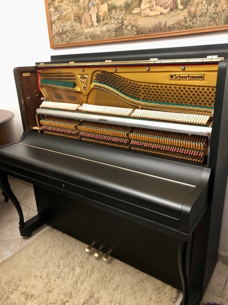 Piano M. Schwartzmann - Foto 5